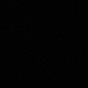 Meet your Posher, Bailey